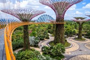 Tour Singapore - Sentosa - Garden By The Bay 4 ngày 3 đêm