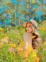 Combo Đà Lạt 2N1Đ từ Hải Phòng