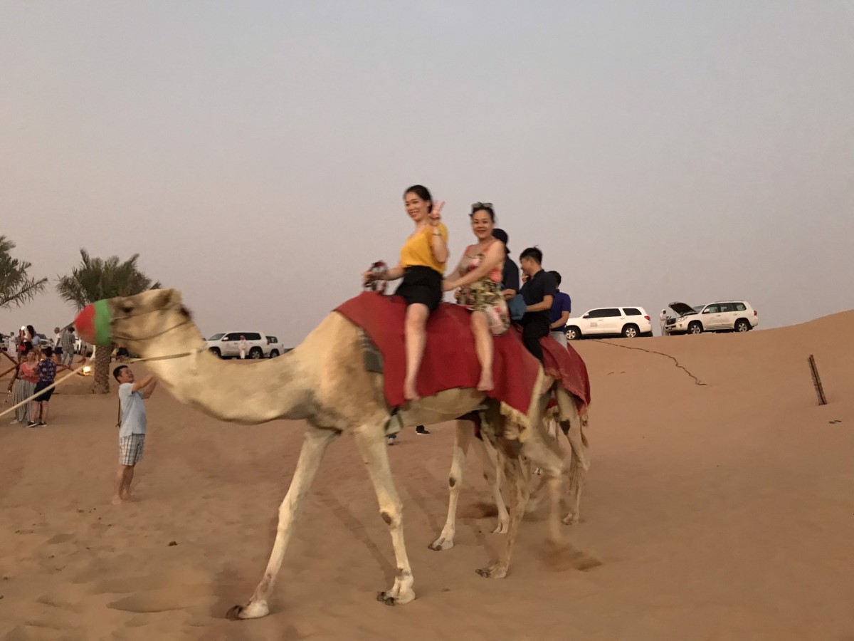 Tour du lịch Bắc Ninh - Dubai - Abu Dhabi 6 ngày 5 đêm