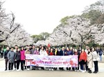 Tour du lịch Nhật Bản | TP. Hồ Chí Minh – Tokyo – Núi Phú Sỹ – Kyoto – Osaka 5 ngày 5 đêm