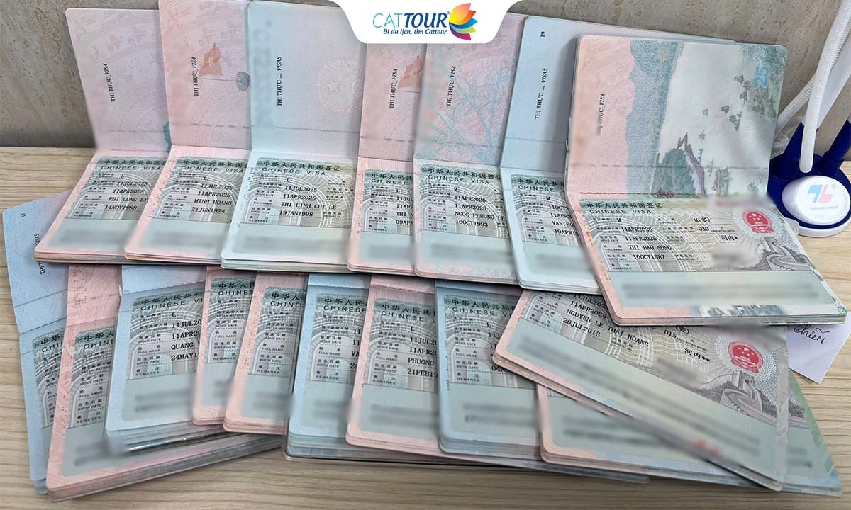 Dịch Vụ Làm Visa Trung Quốc Trọn Gói Tại Hải Phòng