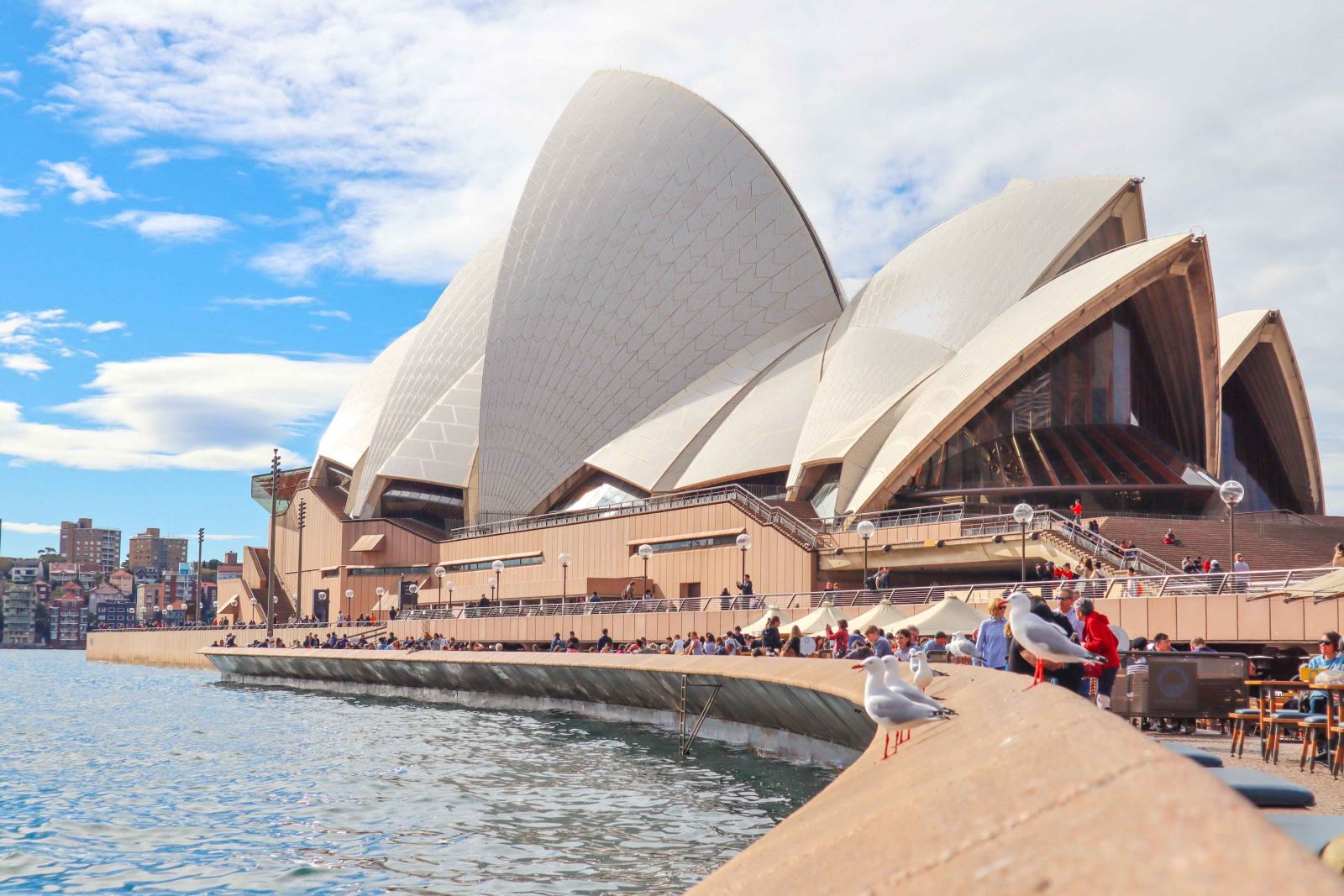 Công trình biểu tượng Nhà hát Opera Sydney nhìn từ mặt nước với kiến trúc mái vòm vỏ sò độc đáo, nổi bật giữa khung cảnh vịnh biển và các tòa nhà cao tầng phía sau.