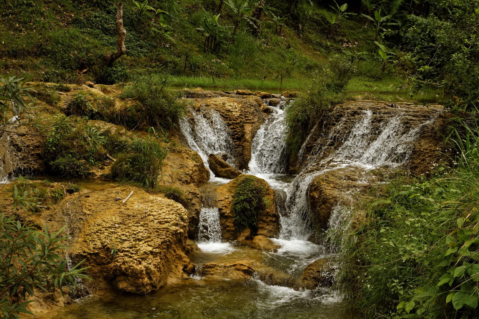 Những con suối trong vắt, róc rách chảy dọc đường trekking lên Pù Luông