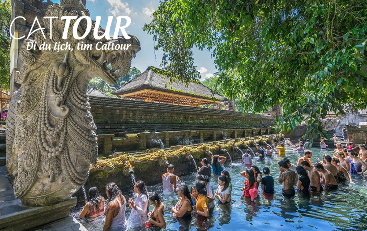 Tour Bali Cattour