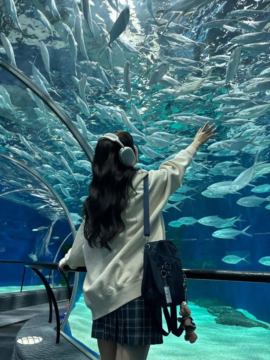 Thủy cung Vinpearl Nha Trang