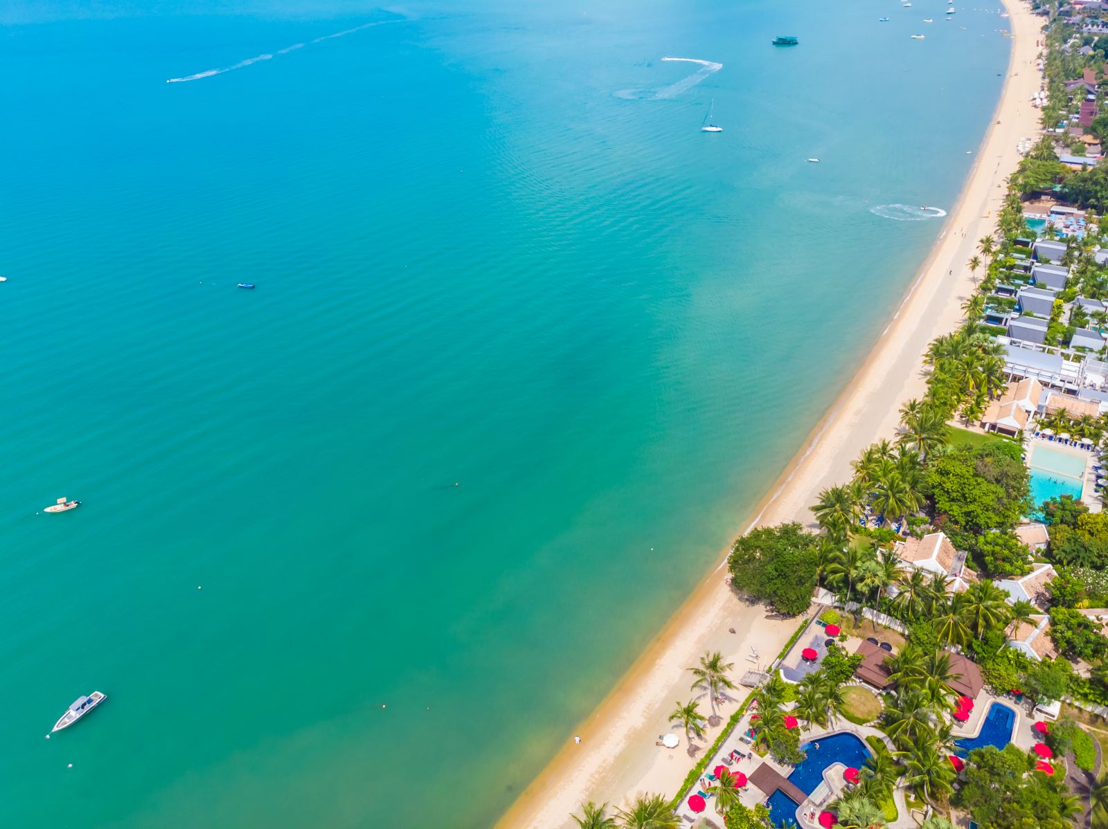 Còn nếu bạn ở TP HCM hoặc các tỉnh phía Nam thì ghé ngay Vũng Tàu nhé!