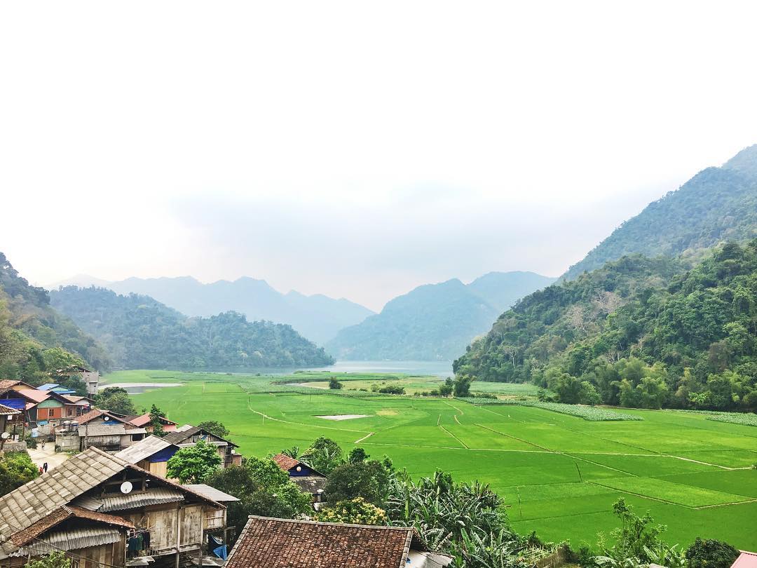Các thung lũng được phủ một màu xanh êm đềm của lúa