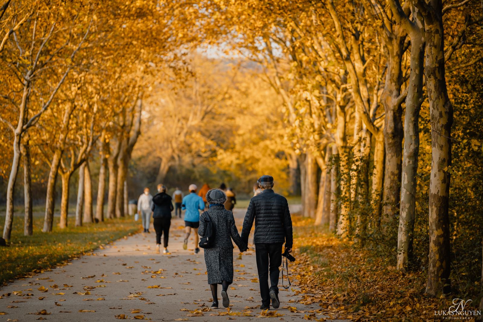 Mùa thu rực rỡ và lãng mạn ở thành phố Paris - Pháp
