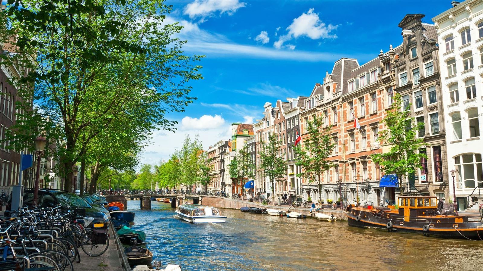 Vẻ đẹp dịu dàng pha chút hiện đại trên kênh đào Amsterdam