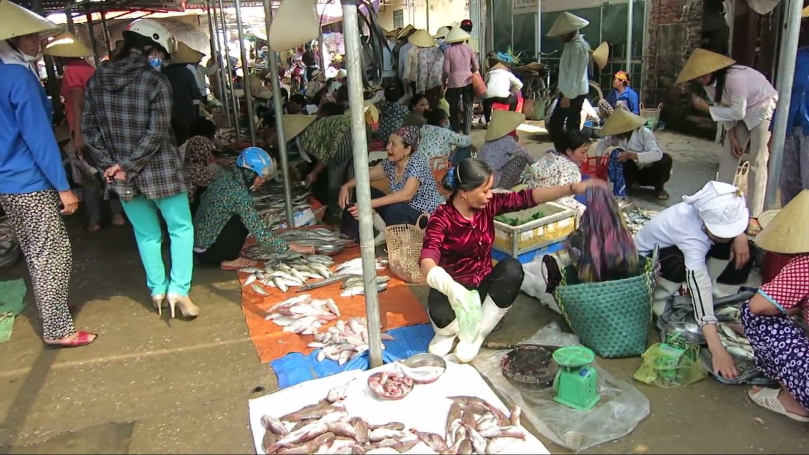 Bên trong Chợ Hón bán rất nhiều loại hải sản
