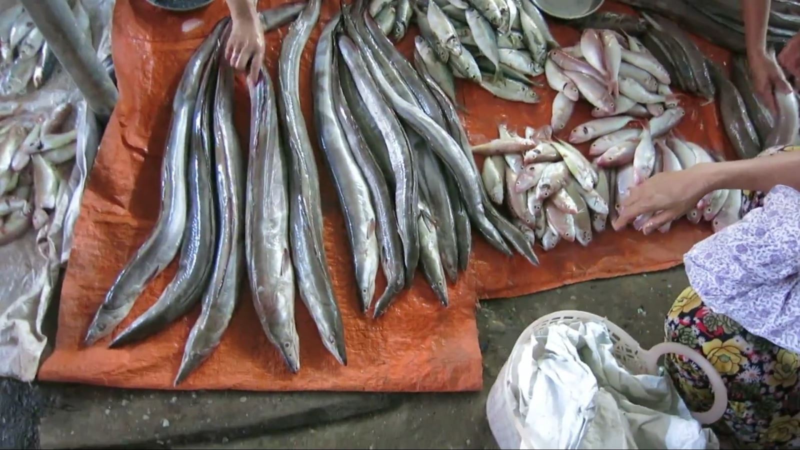 Các loại cá tươi ở chợ Hón giá cũng chỉ vài chục ngàn đồng một kg