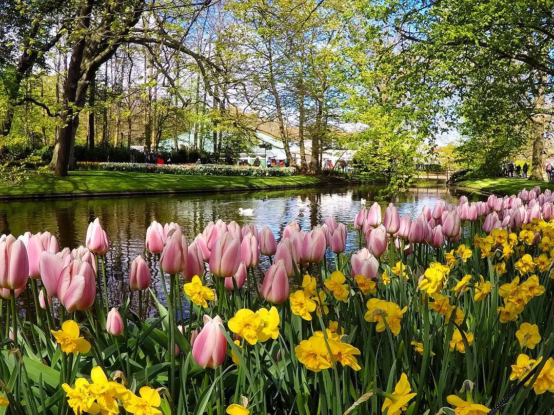 Du lịch Châu Âu mùa xuân – mùa Châu Âu ngập tràn trong sắc hoa rực rỡ