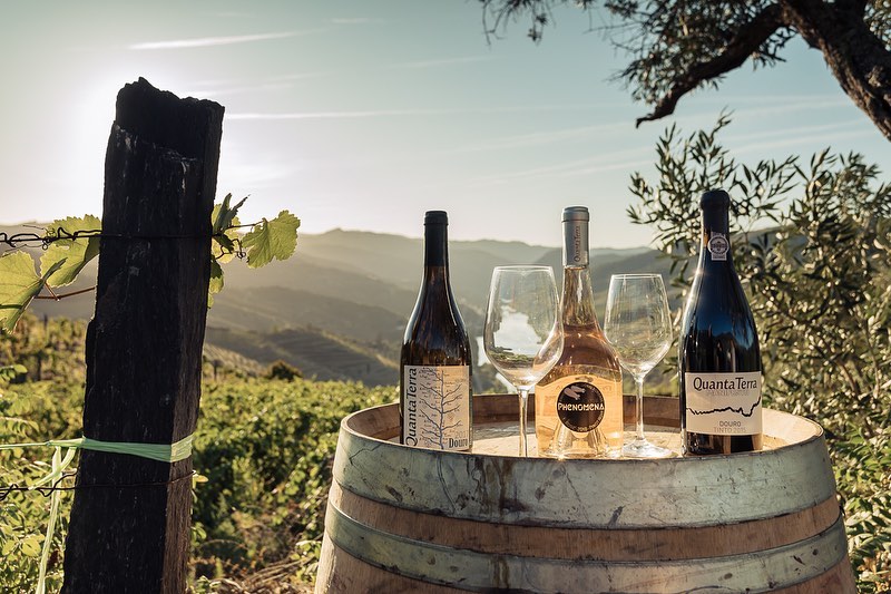Khám phá những vùng rượu vang tuyệt hảo của Bồ Đào Nha