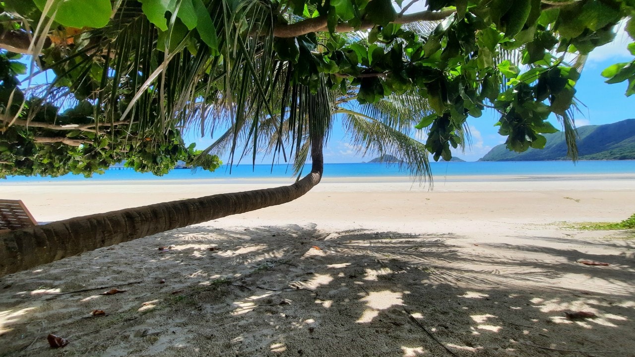 Các bãi biển ở Côn Đảo lúc nào cũng sạch sẽ và trong vắt