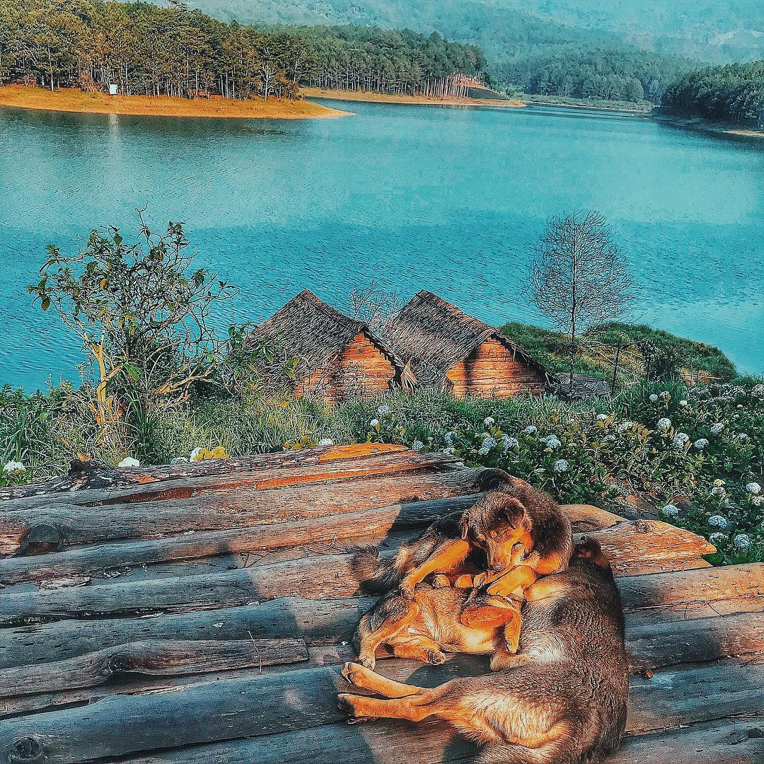 Hồ Tuyền Lâm Đà Lạt với vẻ đẹp thơ mộng chắc chắn sẽ khiến bạn bị "hút hồn"