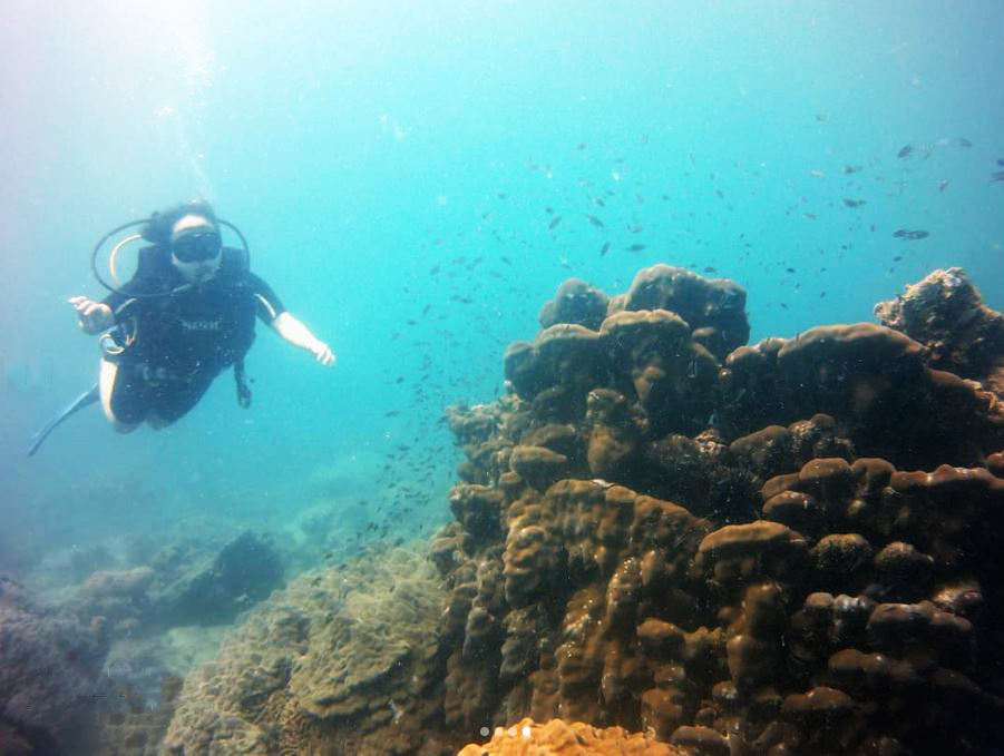 Nên trải nghiệm dịch vụ lặn ngắm san hô với bình khí mới của Phú Quốc