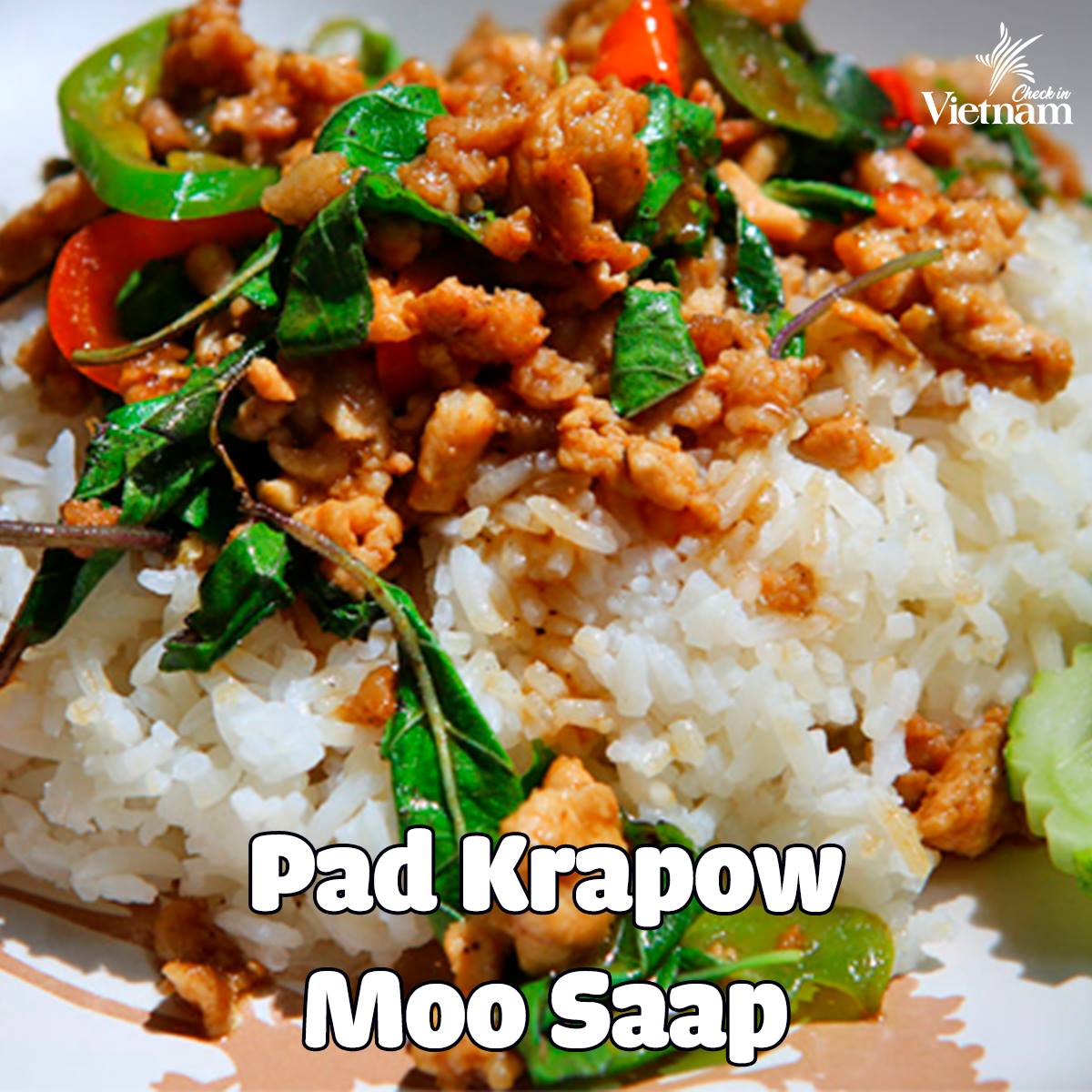 Pad Krapow Moo Saap là món cơm có vị đặc biệt đến từ gia vị lá húng Thái