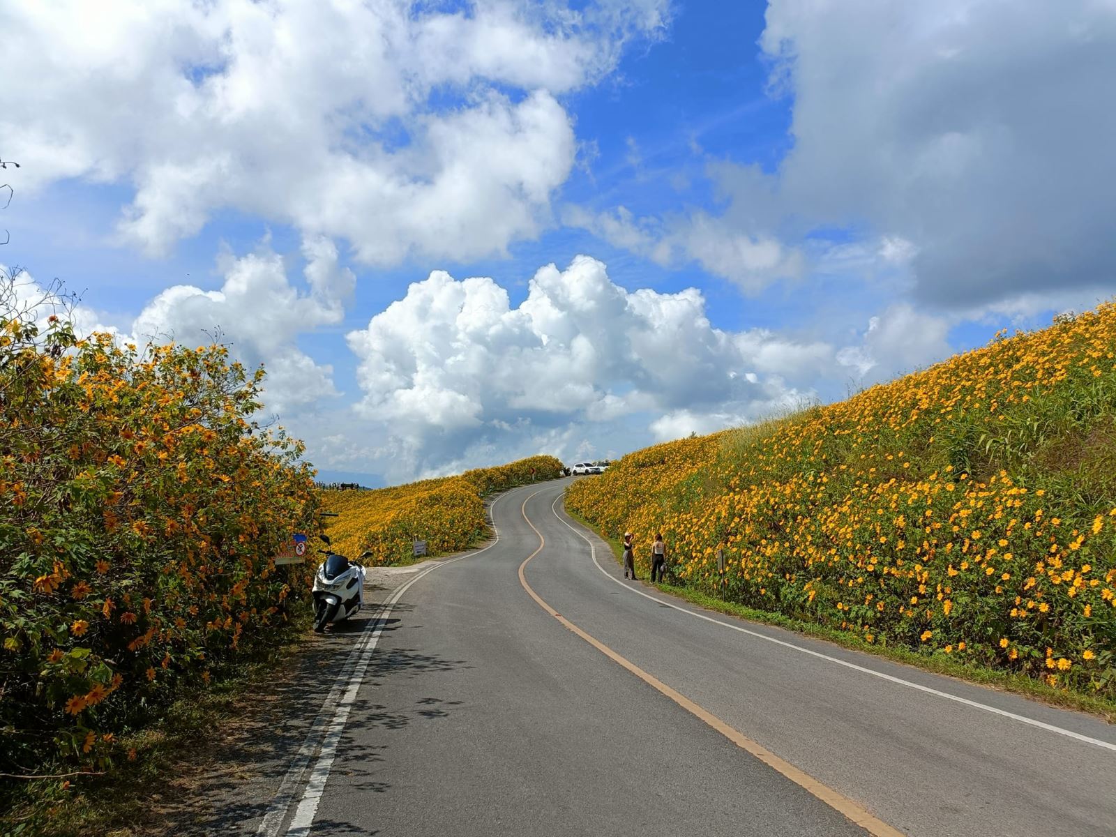 Để đến được Mae U Kho, bạn chỉ cần search cụm từ "Thung Bua Tong Fields" rồi đi theo chỉ dẫn của Google Maps là được