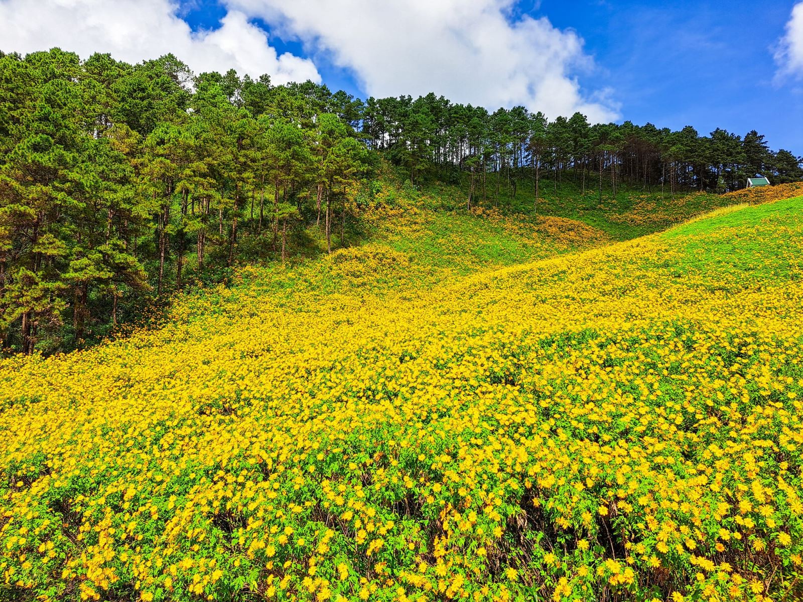 Khung Cảnh Nên Thơ Tại Mae U Kho