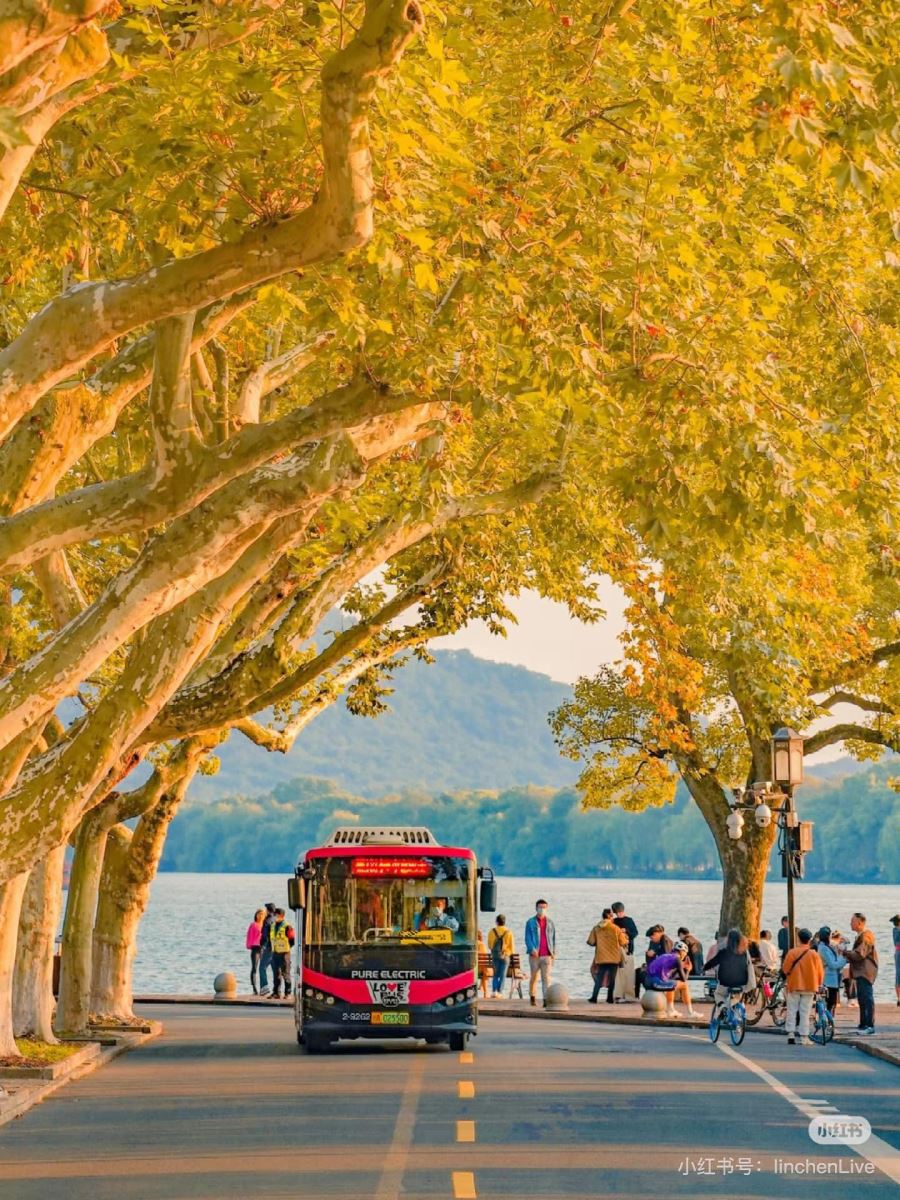 Mùa thu ở Tây Hồ Trung Quốc