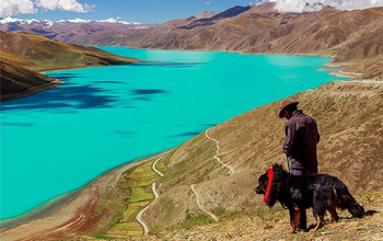 Ngắm và chụp ảnh với Ngao Tây Tạng ở hồ Yamdrok