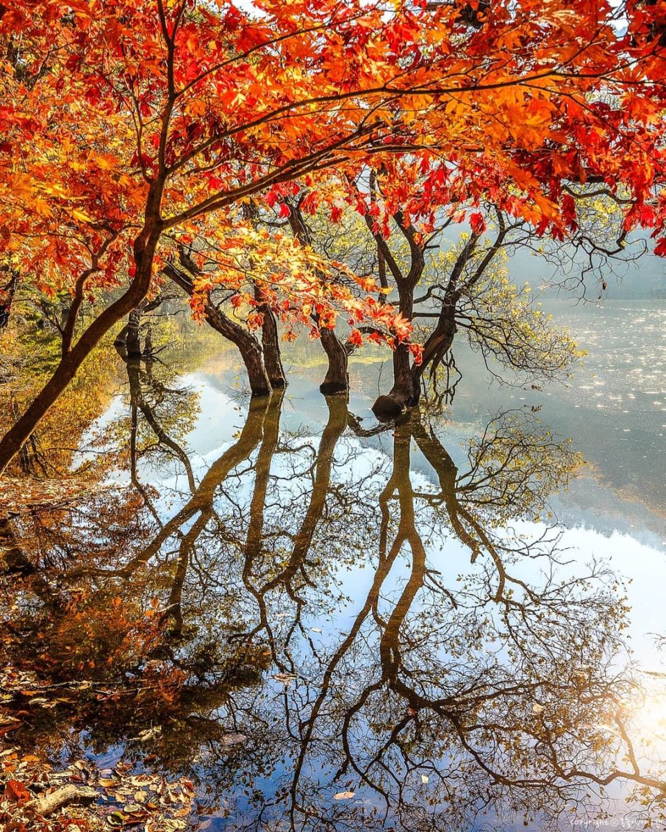 Cảnh lá vàng lá đỏ phản chiếu xuống mặt nước ở đập Jusanji đã làm lay động biết bao nhiêu tâm hồn yêu cảnh đẹp
