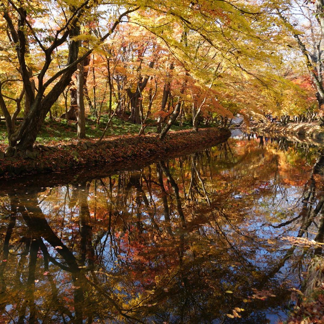 Seonwoonsa được coi là ngôi chùa cổ và có phong cảnh mùa thu đẹp nhất ở Hàn Quốc