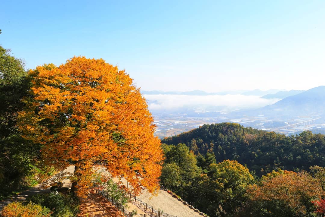 Yongamsa là địa điểm chụp ảnh cảnh mùa thu nổi tiếng ở Hàn Quốc được nhiều nhiếp ảnh gia săn đón