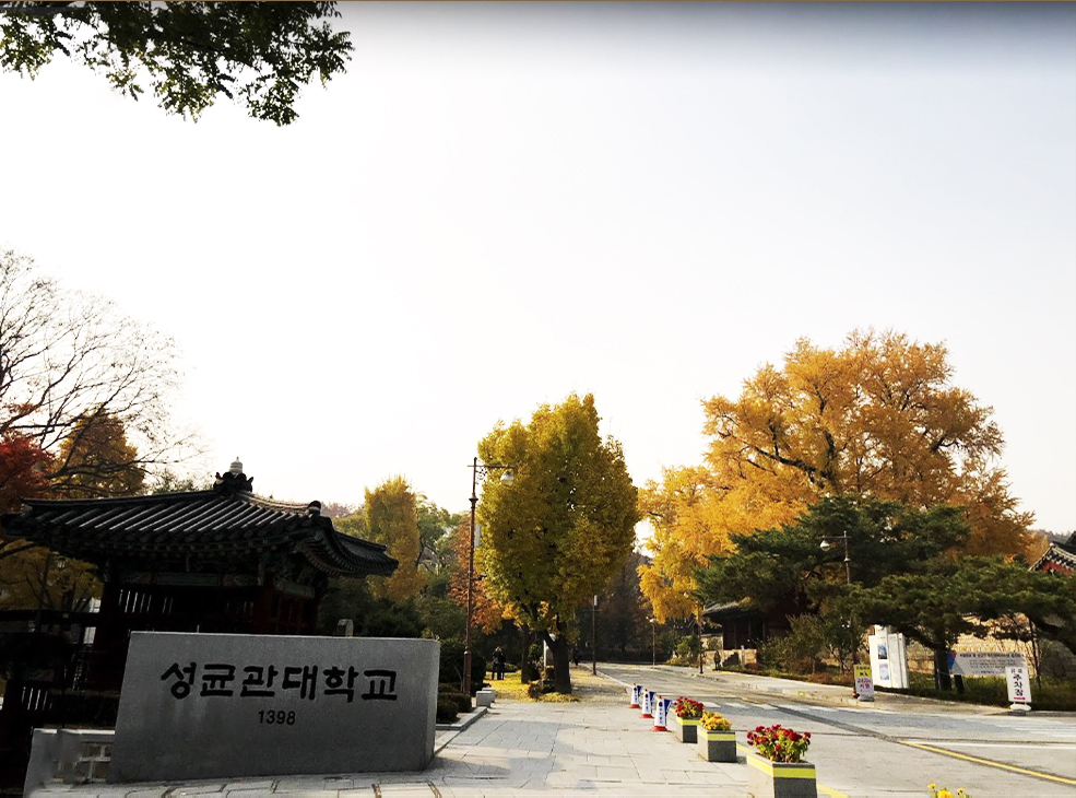 Lá của cây Ngân Hạnh được coi là biểu tượng hiện đại của trường Đại học Sungkyunkwan