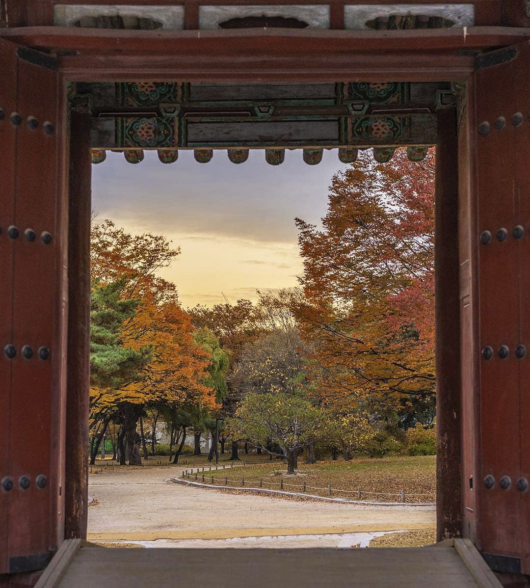 Những cánh cổng ở Changdeokgung sẽ giúp bạn có những bức hình "so deep"