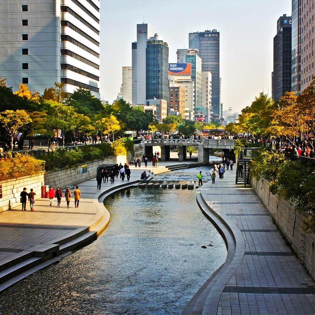 Dòng suối Cheonggyecheon cũng là một địa điểm rất tuyệt vời để ngắm lá vàng mùa thu ở Seoul