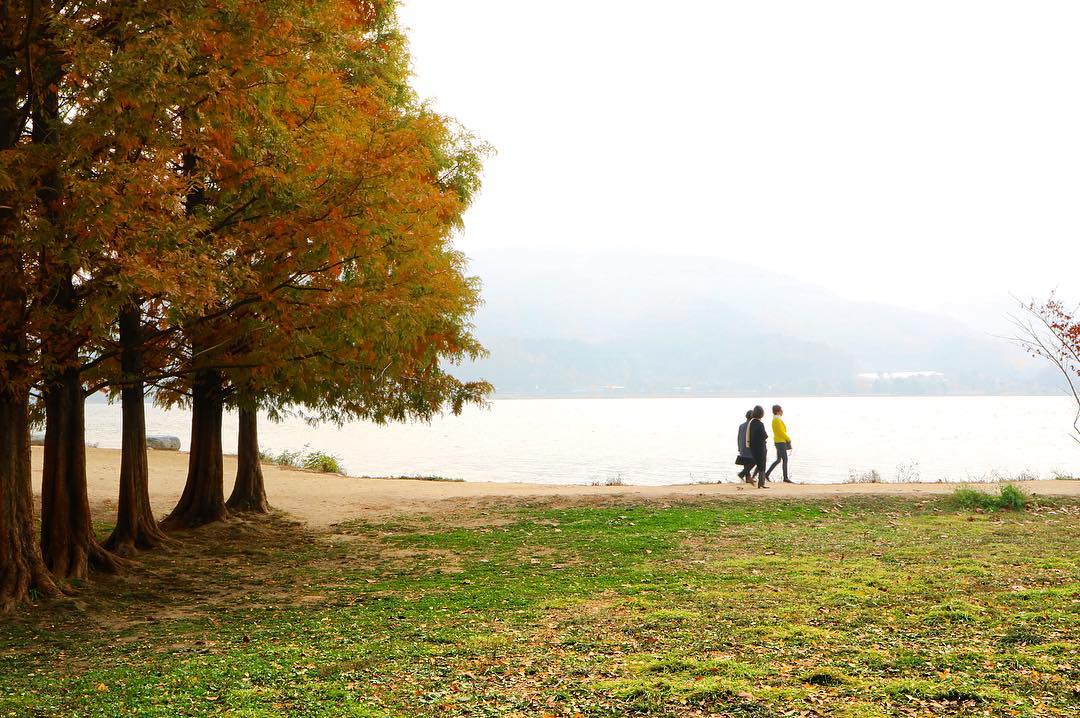 Dumulmeori là nơi có khung cảnh mùa thu yên bình với hồ nước trong veo và hàng cây lá vàng lá đỏ rực rỡ