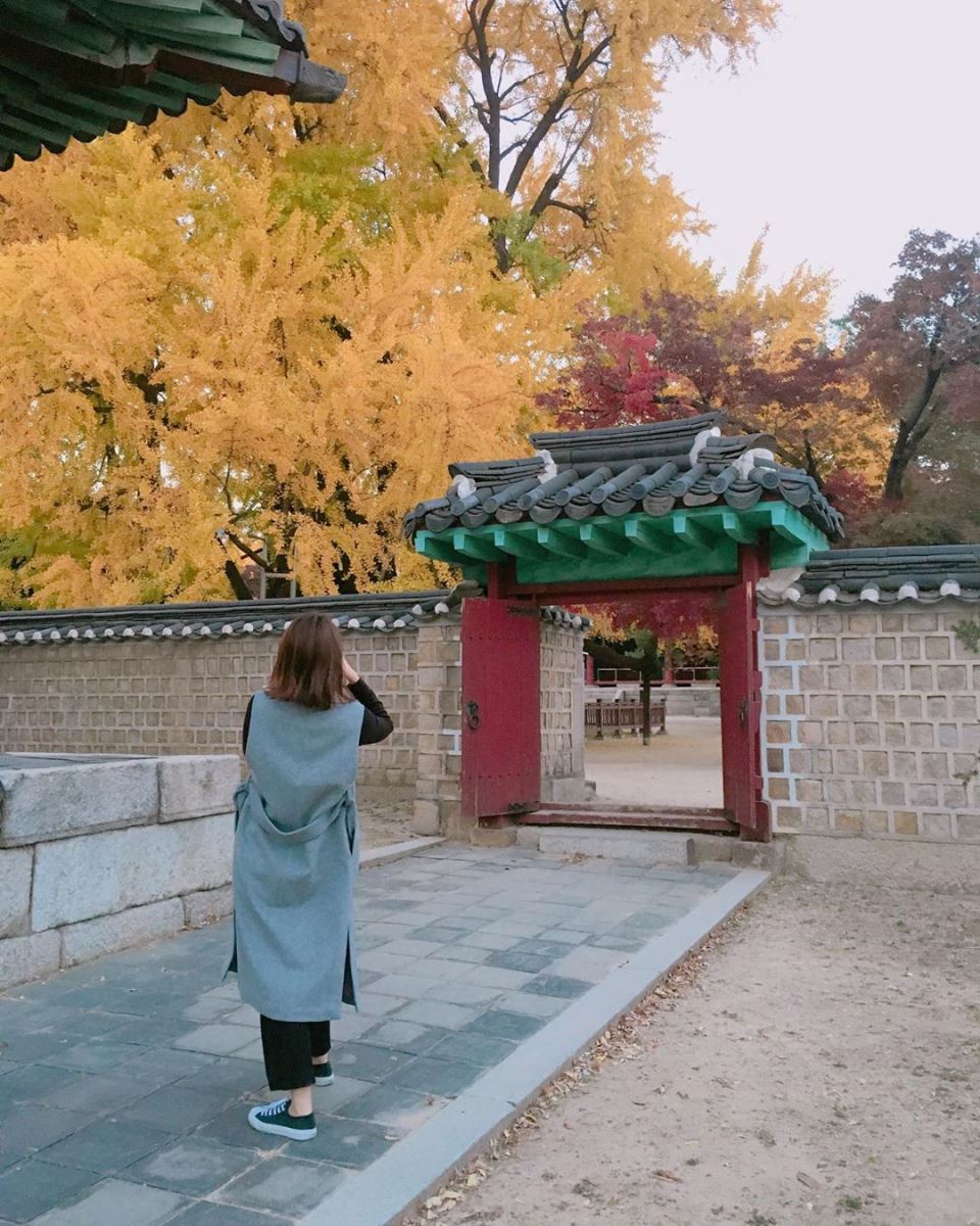 Tháng 10 là lúc lá vàng lá đỏ Hàn Quốc đồng loạt chuyển màu, nhiệt độ cũng giảm hơn so với tháng 9 vài độ