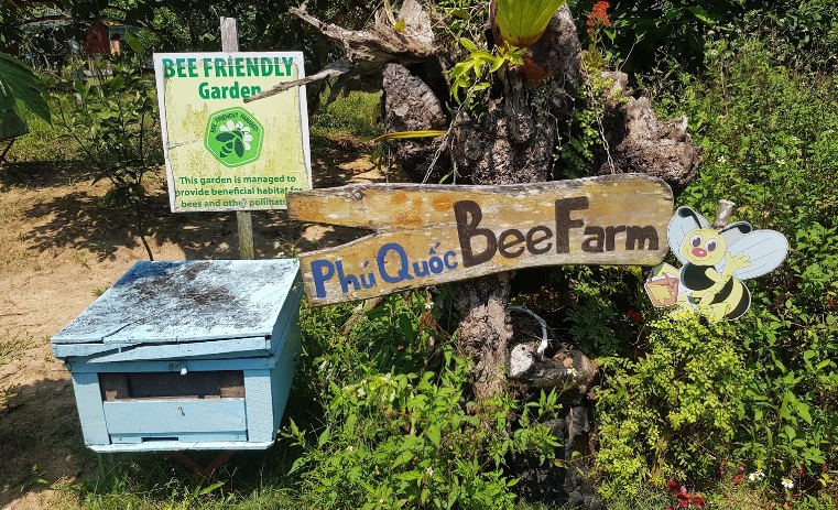 Phu Quoc Bee Farm – Trại ong Phú Quốc