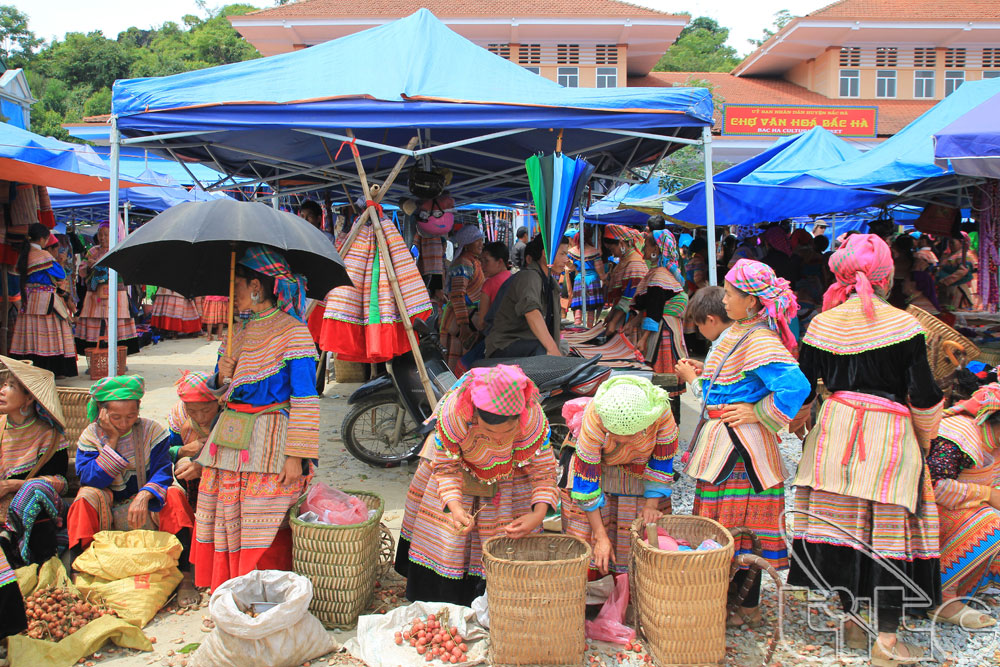 Đi du lịch Sa Pa đừng quên ghé thăm chợ phiên Bắc Hà