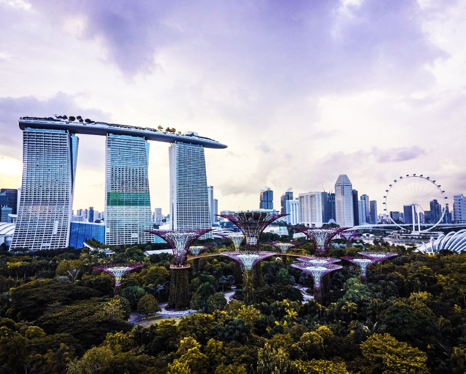 Gardens By The Bay là điểm check in nổi tiếng bậc nhất ở Singapore