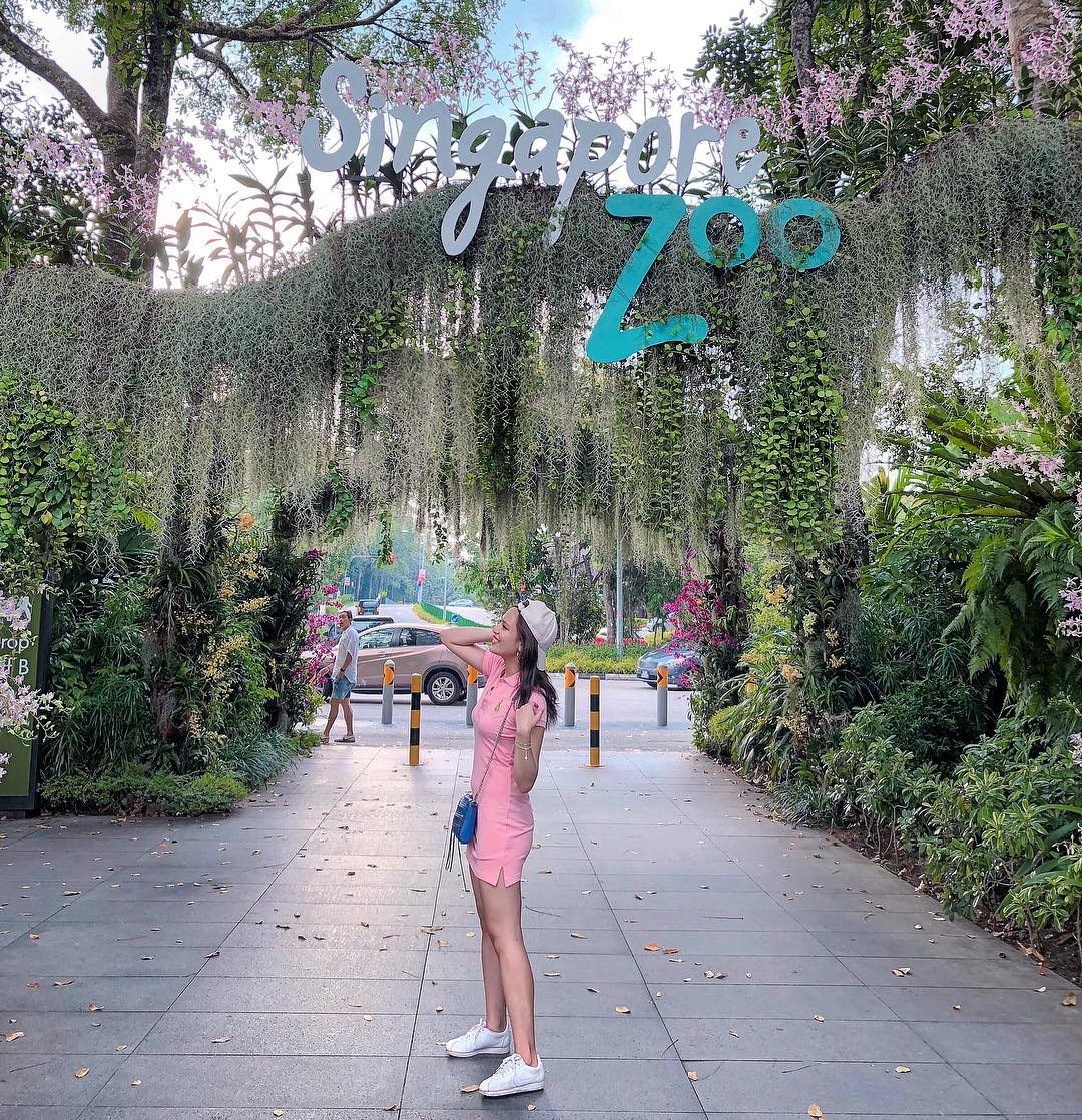 Singapore Zoo với không gian rất ấn tượng