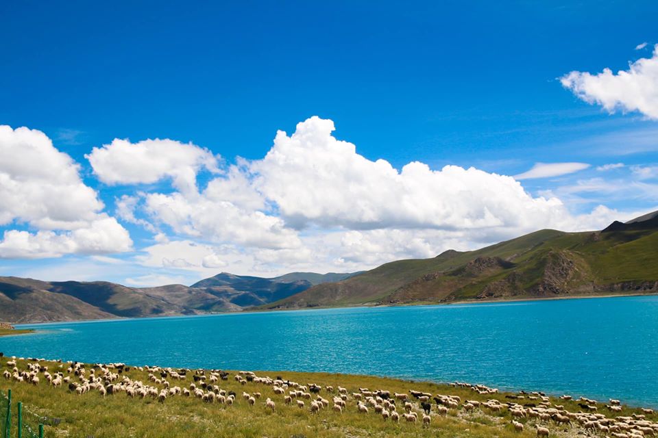 Hồ Yamdrok Tây Tạng