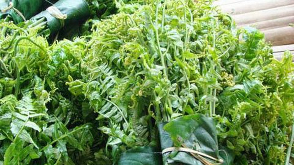Rau dầm tang Buôn Ma Thuột là loại rau rừng nổi tiếng 