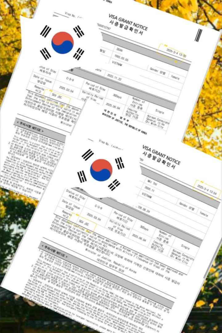 Visa 5 năm thường được cấp cho những người có mối quan hệ gia đình với công dân Hàn Quốc hoặc những người đã có thời gian cư trú lâu dài tại Hàn Quốc