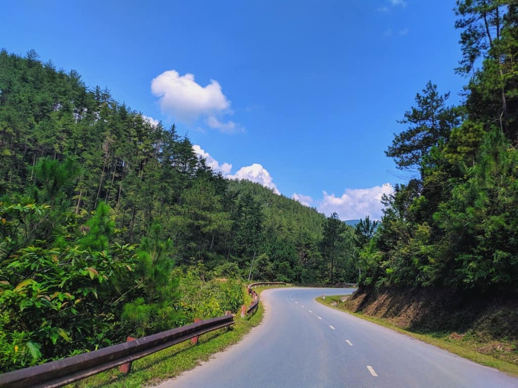 Những khu rừng thông xanh mướt như khung cảnh châu Âu trên đường lên đỉnh đèo Khau Phạ