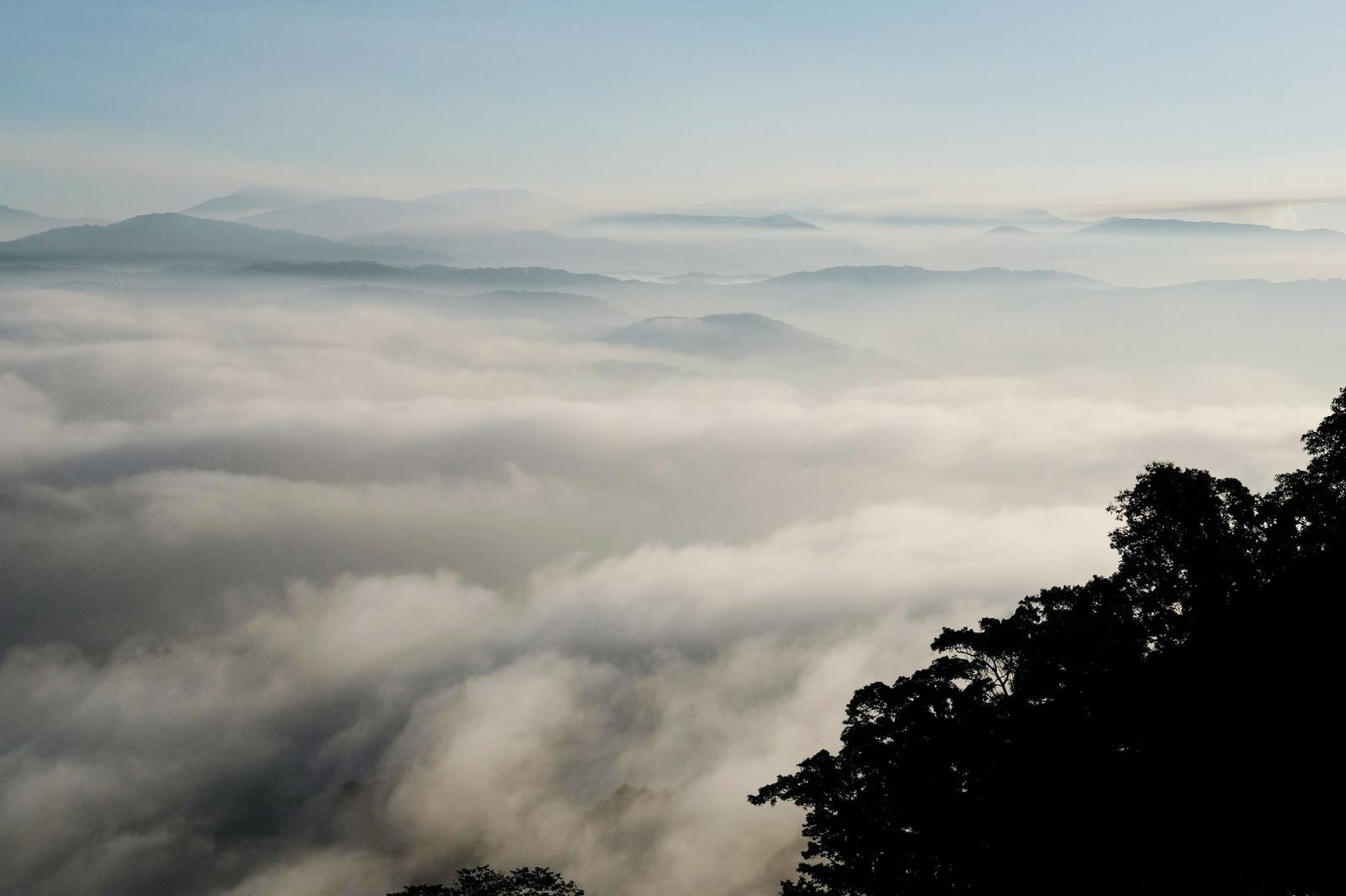 Các đỉnh núi ở Đà Lạt là nơi săn mây dễ và đẹp nhất
