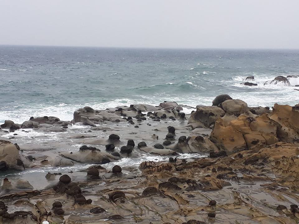 Những bãi đá với hình dáng lạ mắt, độc đáo trên đảo Hy Vọng