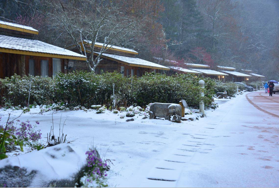Vào những tháng mùa đông, các con đường đến nông trường Wuling đều ngập trong làn tuyết trắng