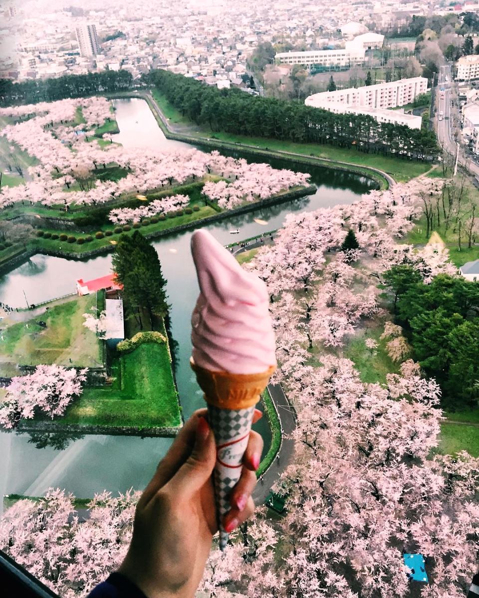 View ngắm hoa anh đào từ Goryokaku Tower