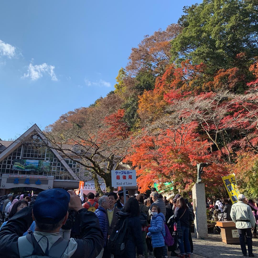Núi Takao được nhiều du khách yêu thích nhờ những cung đường leo núi tuyệt đẹp với lá vàng lá đỏ phủ kín