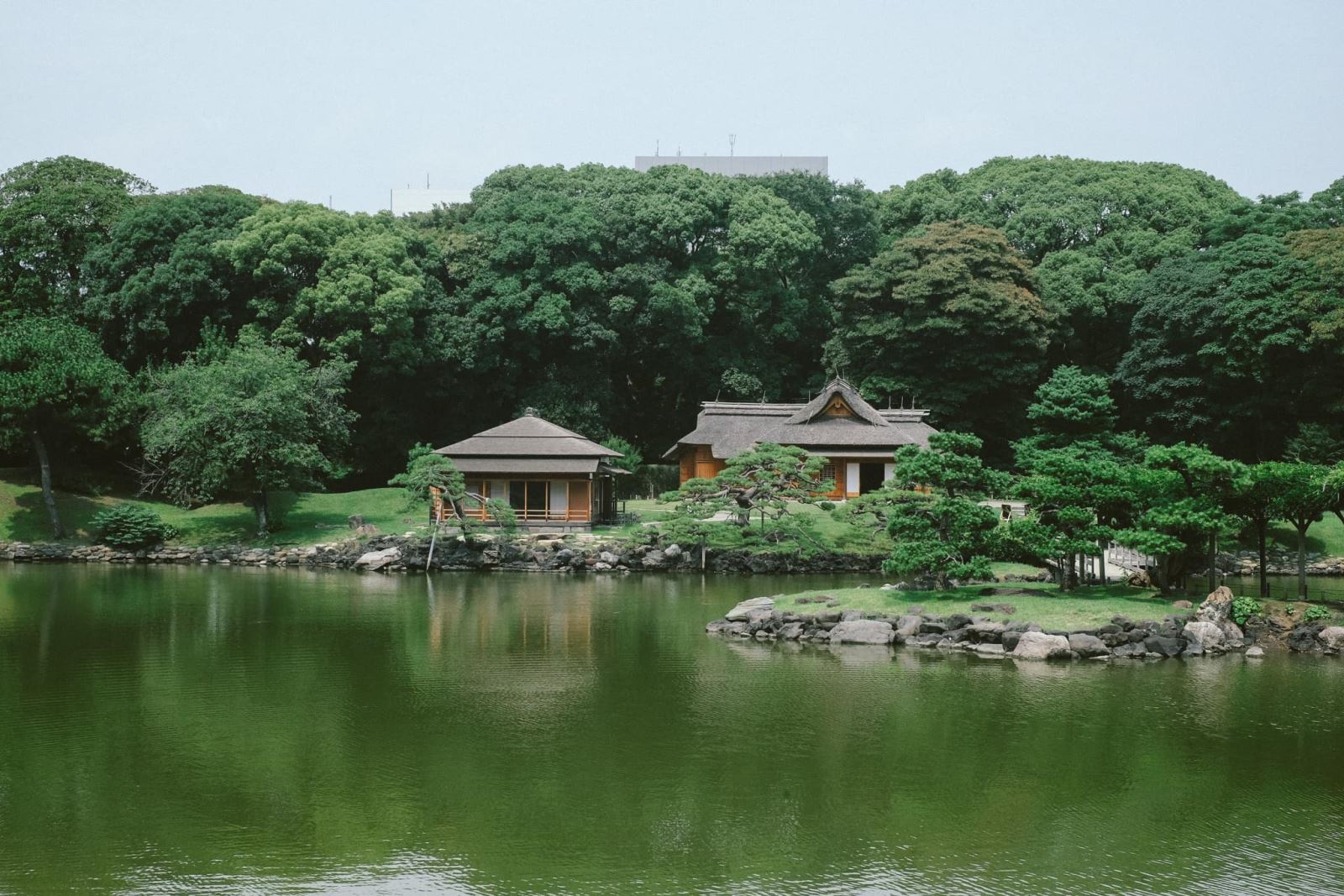 Vườn Hamarikyu là một trong những khu vườn nổi tiếng và đẹp nhất ở Tokyo