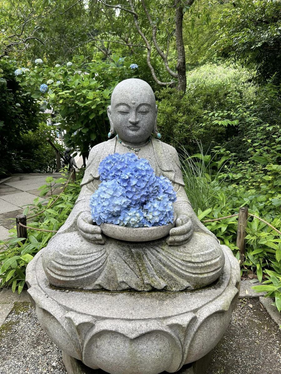 Lễ hội hoa cẩm tú cầu tại chùa Meigetsu-in, Kamakura