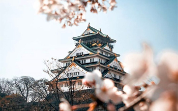 Check in với hoa anh đào ở lâu đài Osaka