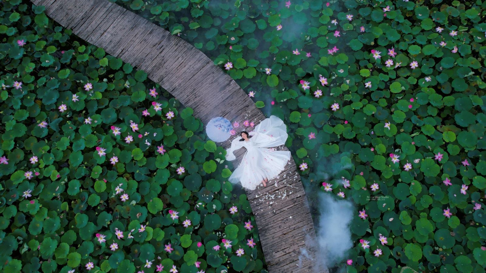 Mùa sen - Mùa của sự dịu dàng